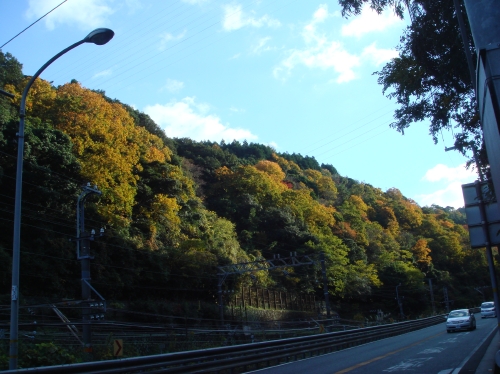 c0108460_16441396.jpg