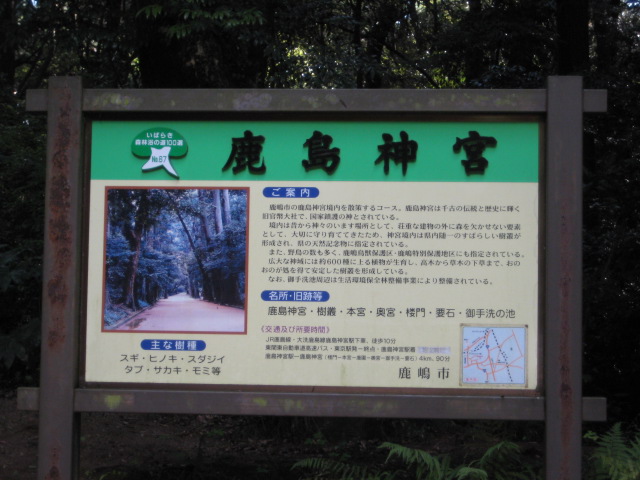 e0116960_0561758.jpg
