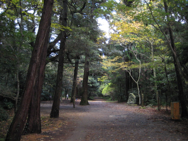 e0116960_17211.jpg