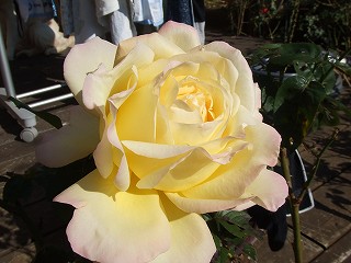 a0104162_19362895.jpg