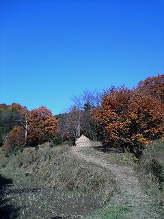 f0020662_1661746.jpg