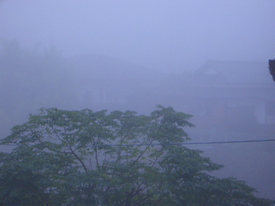d0105063_12472444.jpg