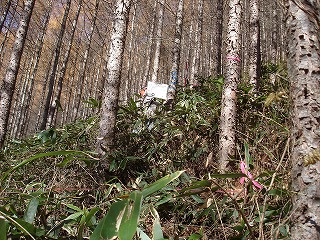 f0127866_2359542.jpg