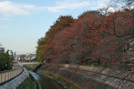 c0032567_19452214.jpg