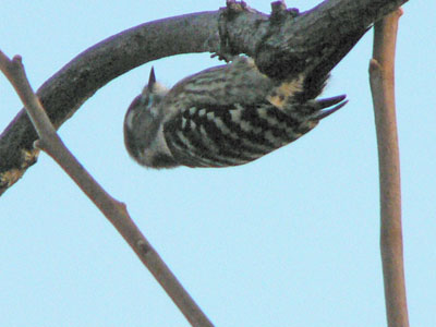 f0086169_22463750.jpg