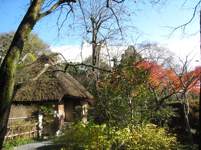 f0088569_13395712.jpg