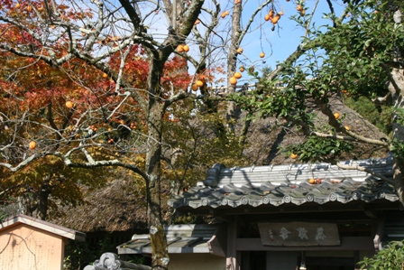 f0088569_14231863.jpg