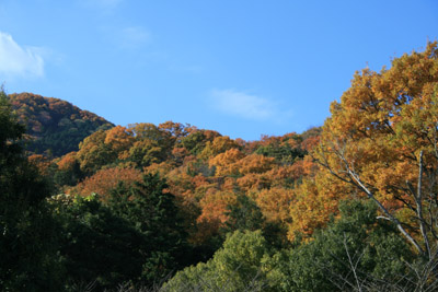 c0117570_19313063.jpg