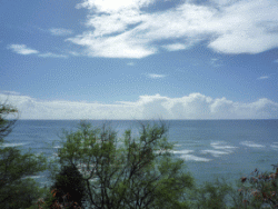 f0186671_555452.gif