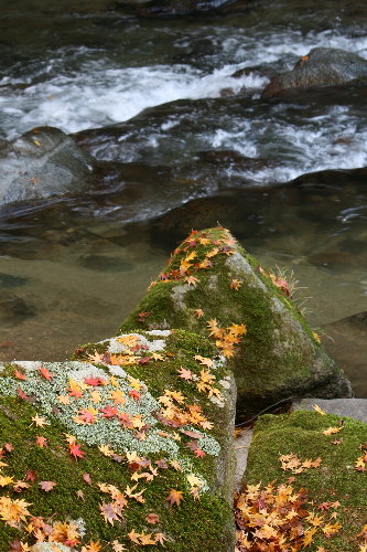 f0181173_15385130.jpg