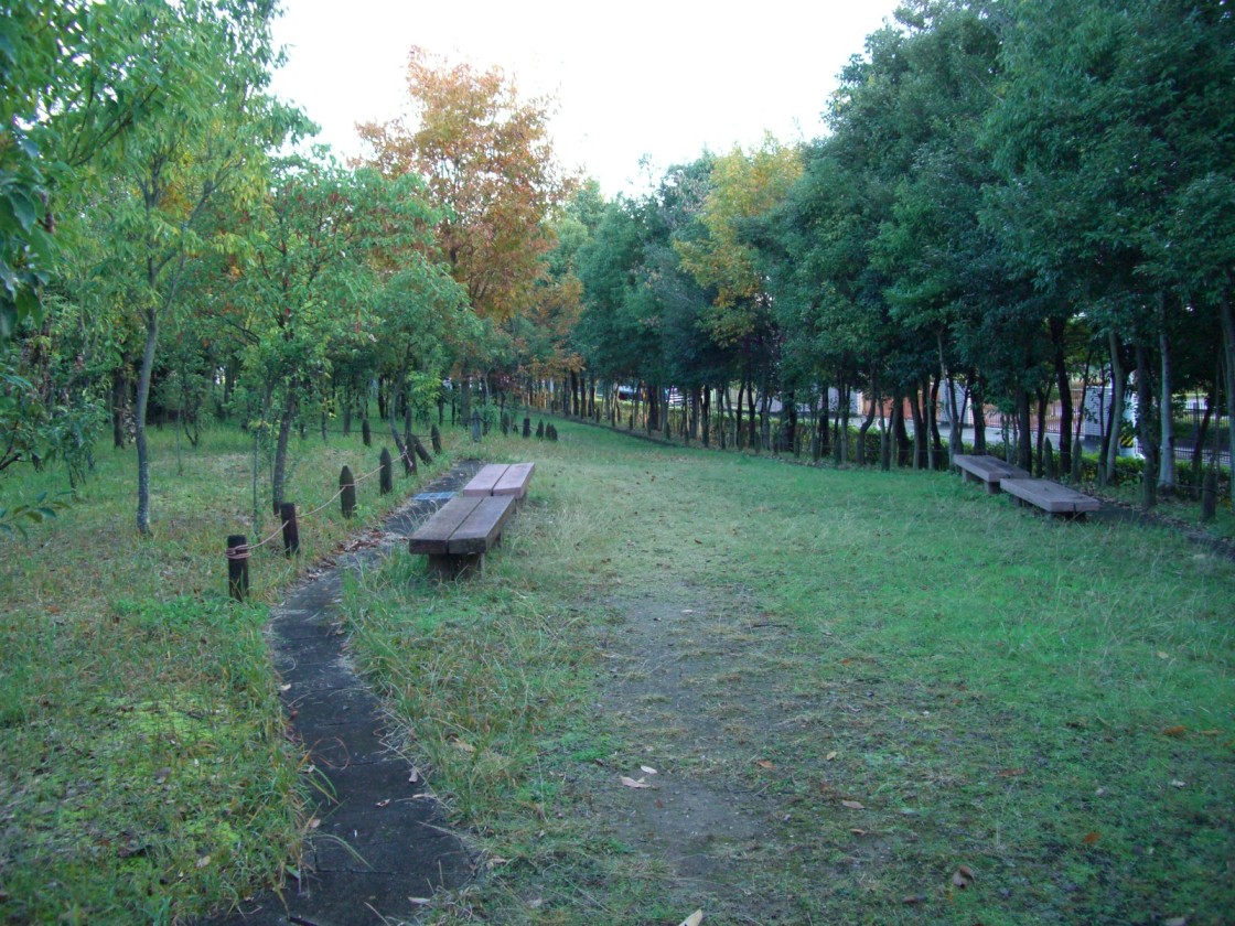 f0137275_4213559.jpg