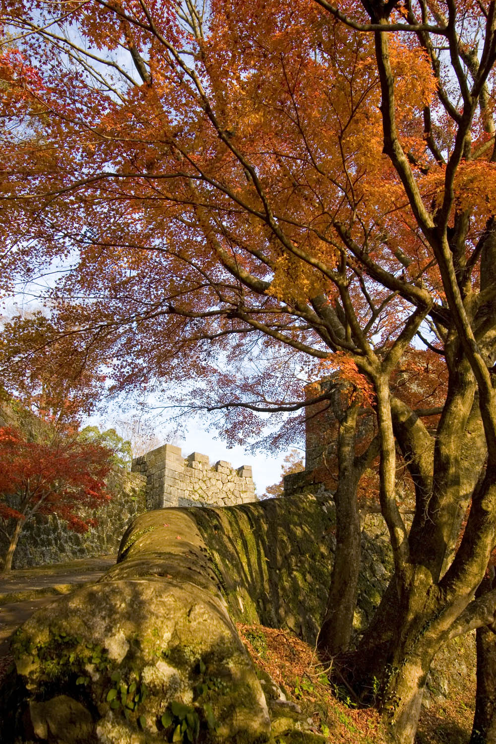 e0164282_12515321.jpg