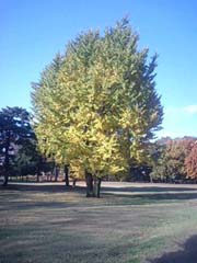 f0166982_20561493.jpg