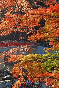 a0062983_013950.jpg