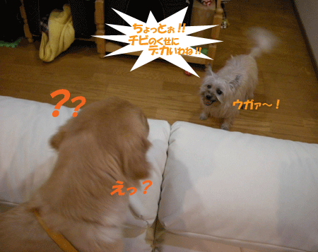 e0066883_190574.gif