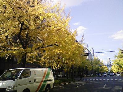 b0100489_610283.jpg