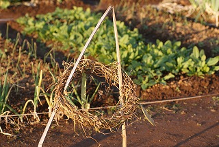 f0079289_23223816.jpg