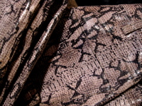 d0056490_1093447.jpg