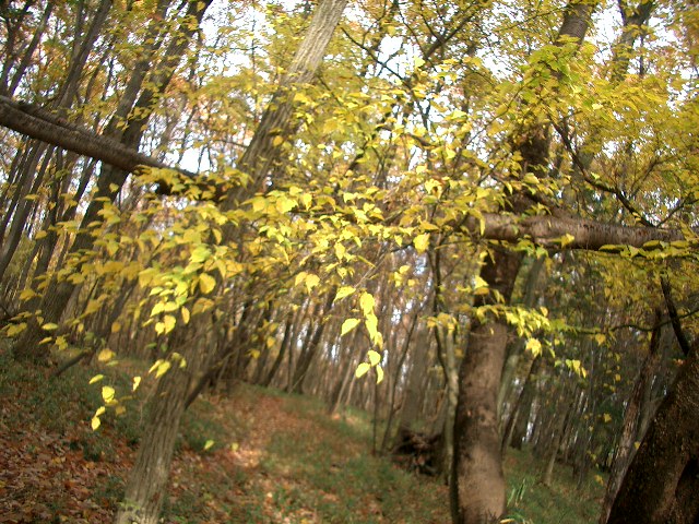b0144891_19193542.jpg