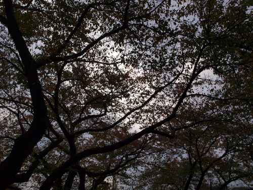 b0143292_11561269.jpg