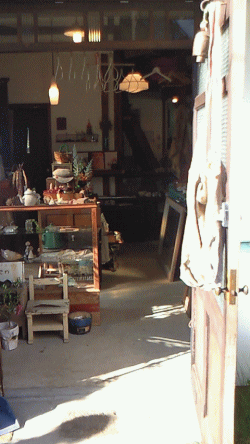 d0100192_2245549.gif