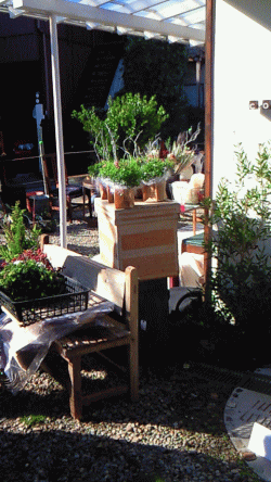 d0100192_22474587.gif