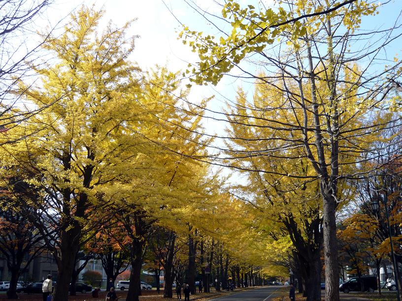 b0104198_14382648.jpg