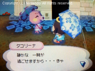 タコリーナ