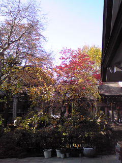 e0131904_13215569.jpg