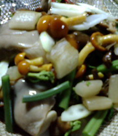 a0051606_22454227.jpg