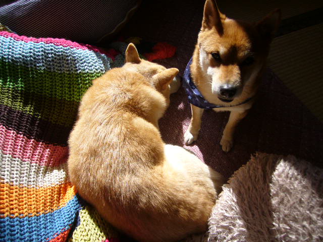 e0131506_21222182.jpg