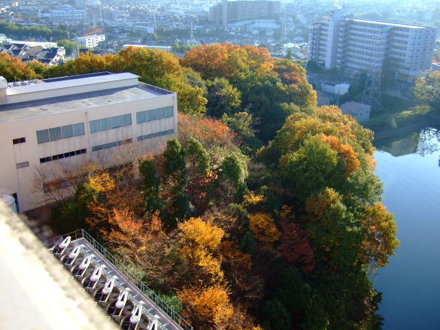 f0152308_18525836.jpg