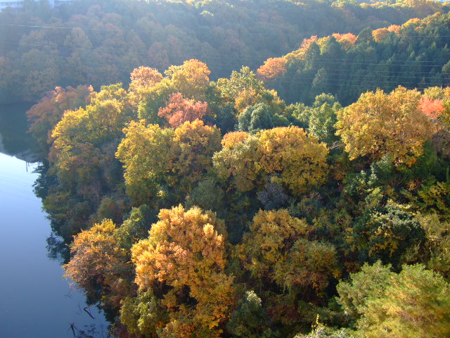f0152308_18531144.jpg