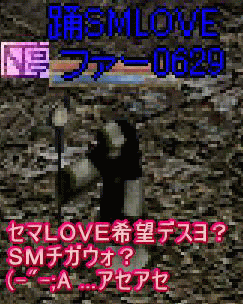 f0072010_19282617.gif