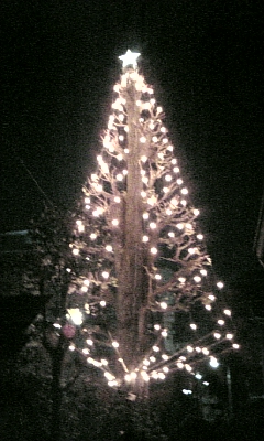f0041311_7124011.jpg