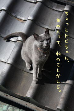 e0156015_14455856.jpg