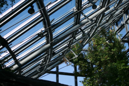 f0097620_1713515.jpg