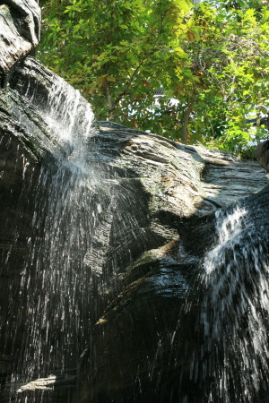 f0097620_1717989.jpg