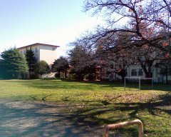 b0073322_017065.jpg