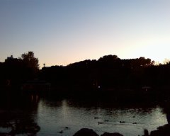 b0073322_1151966.jpg