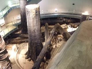 c0136324_20595090.jpg