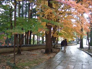 c0136324_21101228.jpg