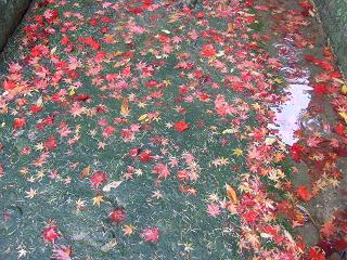 c0136324_21104230.jpg