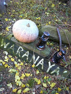 d0017924_121724.jpg