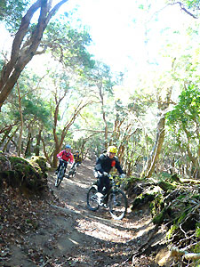 d0023725_14503159.jpg