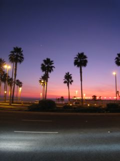 c0159828_1615338.jpg