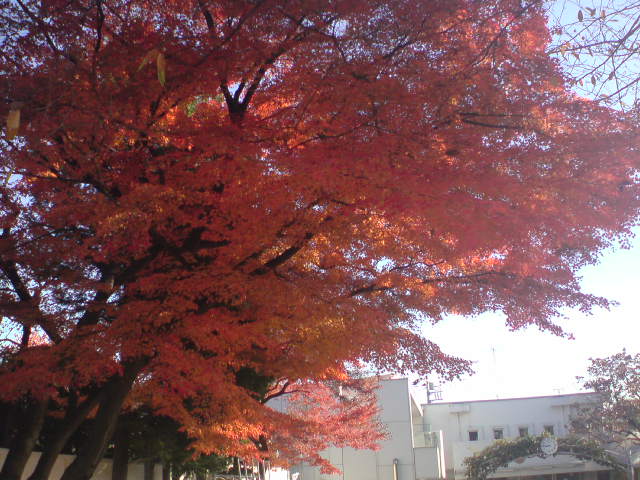 e0016828_21232114.jpg