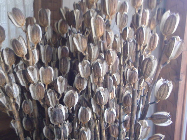 e0016828_221911100.jpg