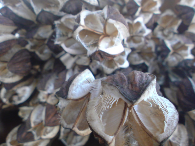 e0016828_22213157.jpg