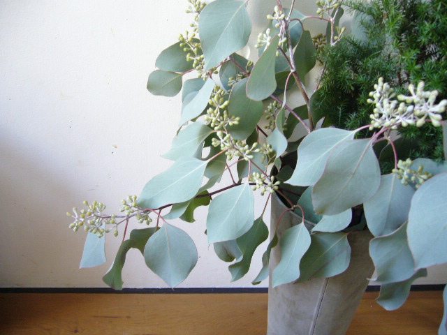 f0023329_11154839.jpg